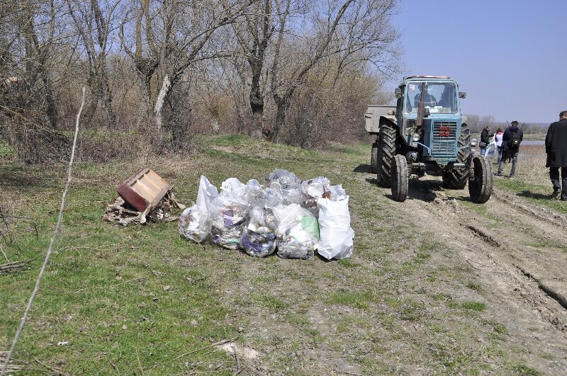 Береги р.Прут чистять від сміття (фото)