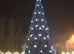 Як запалювали новорічну ялинку в Чернівцях (відео)