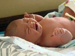За перший тиждень 2014 року у Чернівцях народилося 118 малюків