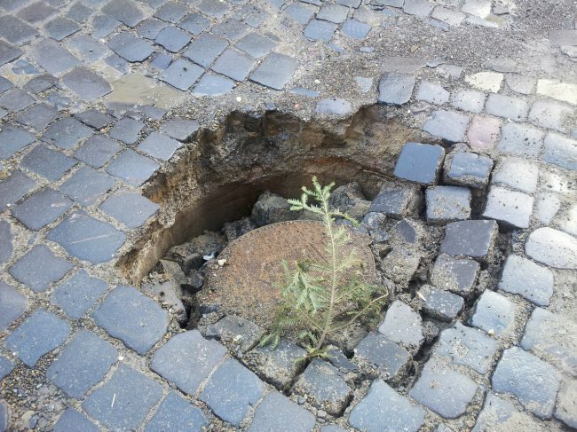 В Центрі Чернівців провалилась дорога (фото)