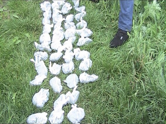 У Буковинця знайшли 2 кг наркотиків (фото)